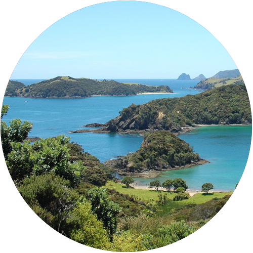 Distinctly Bay of Islands