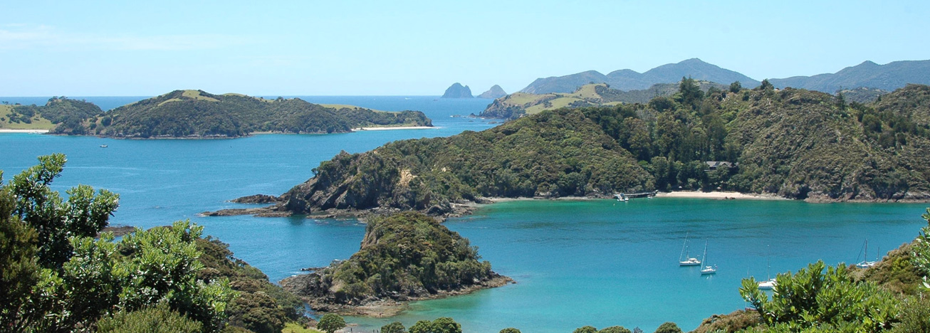 Distinctly Bay of Islands